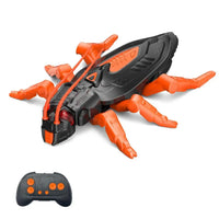 Cockroach